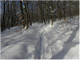 Stara Vrhnika - Koča na Planini nad Vrhniko